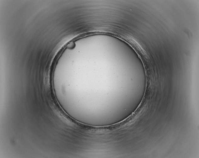 X0000113040884200909101916