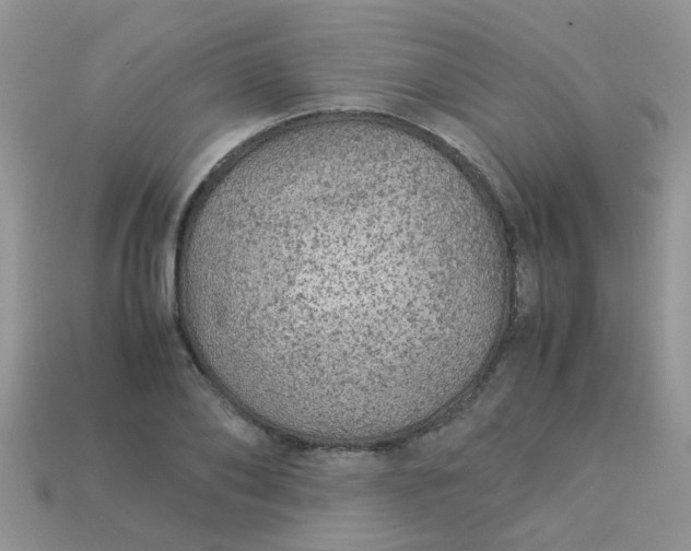 X0000113040886200909101916