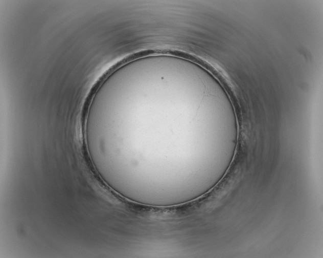 X0000113040887200909101916