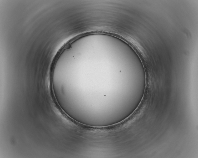 X0000113040888200909101916