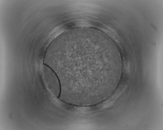 X0000113040889200909101916