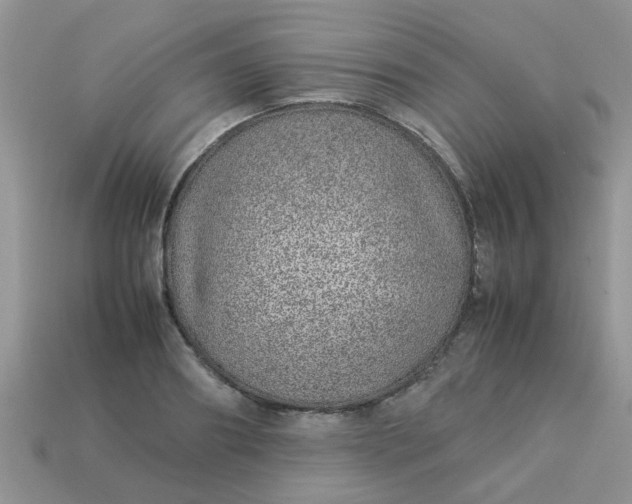 X0000113040890200909101916