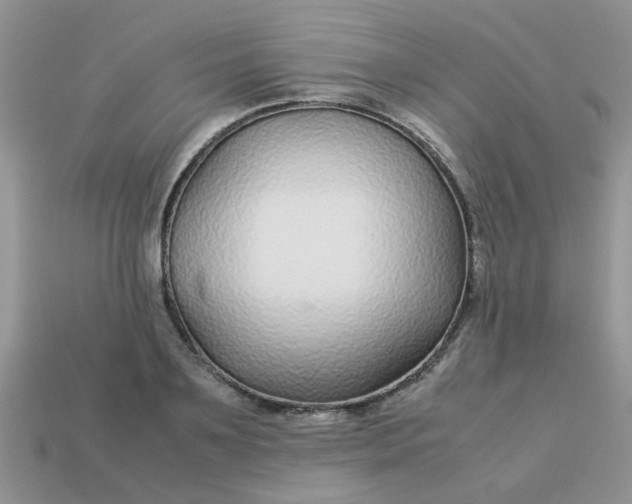 X0000113040891200909101916