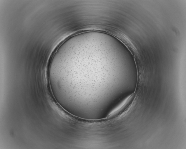 X0000113040892200909101916