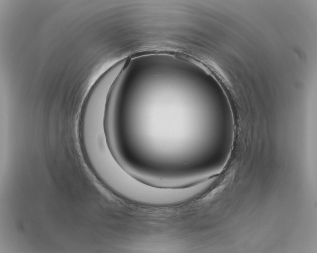 X0000113040893200909101916