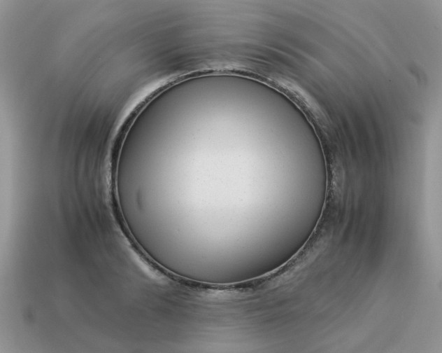 X0000113040894200909101916