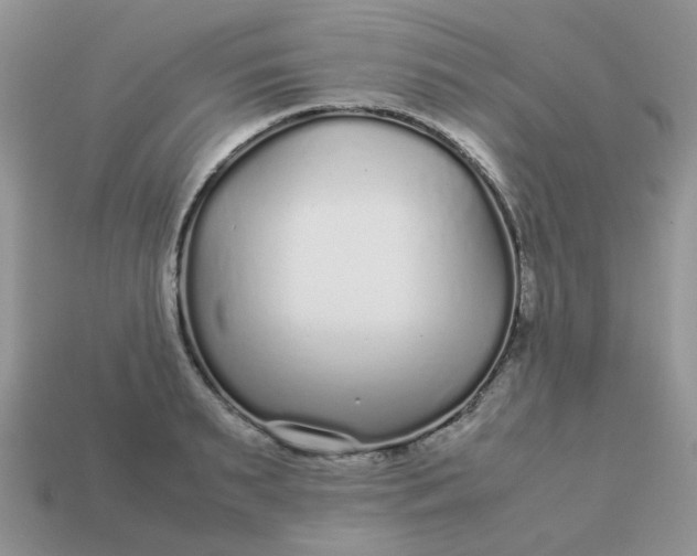 X0000113040895200909101916