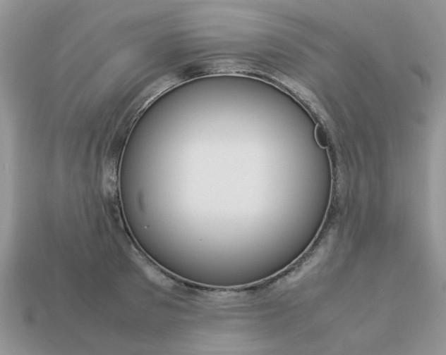 X0000113040897200909101916