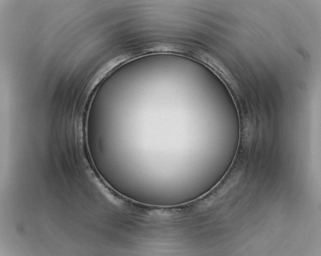 X0000113040898200909101916