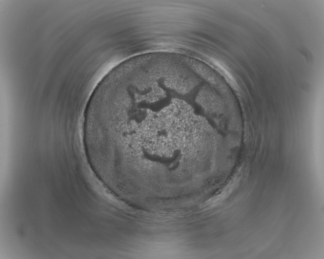 X0000113040899200909101916