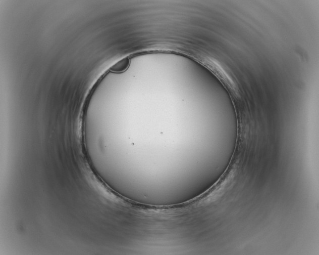 X0000113040900200909101916
