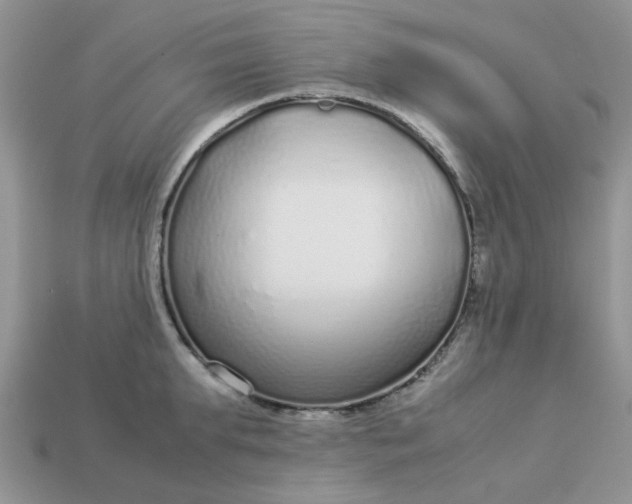 X0000113040903200909101916