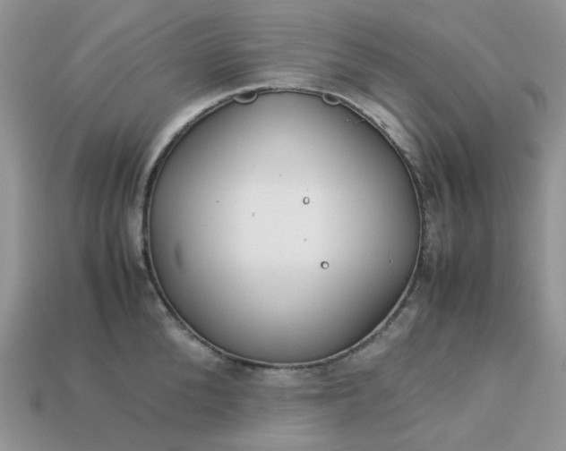 X0000113040904200909101916