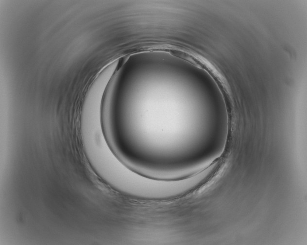 X0000113040905200909101916