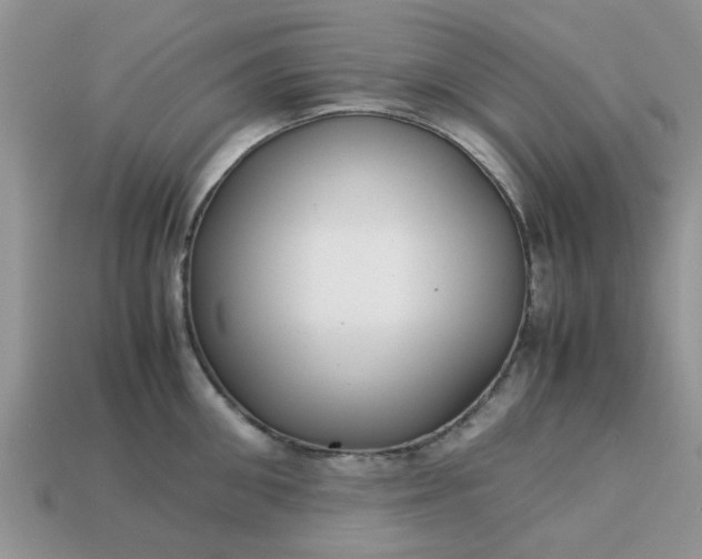 X0000113040906200909101915