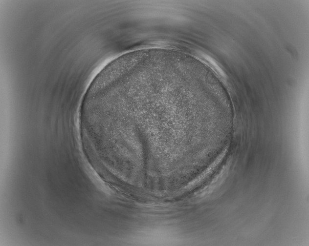 X0000113040907200909101915