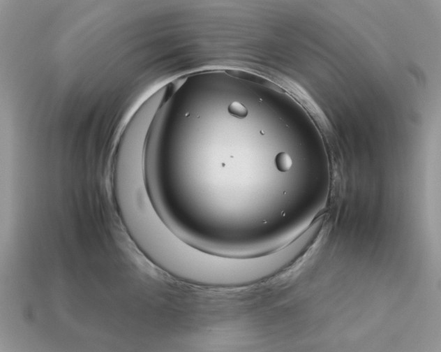 X0000113040908200909101915