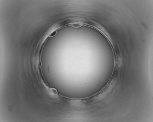 X0000113040909200909101915