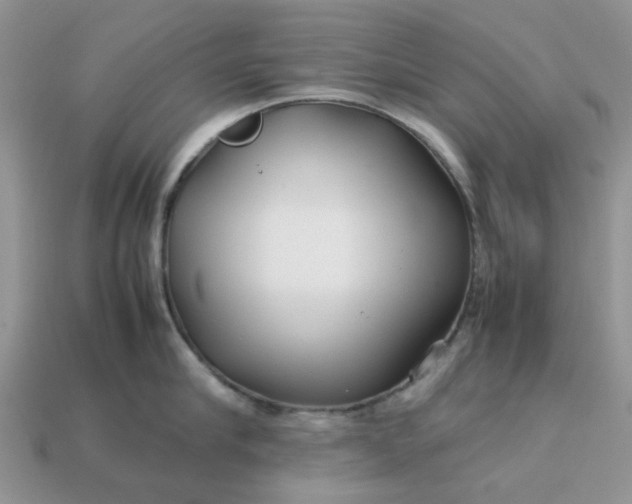 X0000113040910200909101915