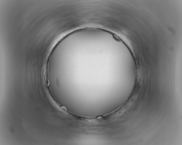 X0000113040911200909101915
