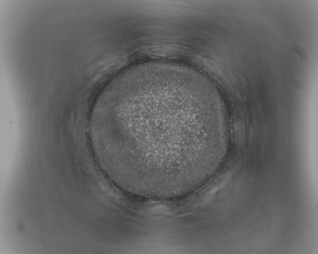 X0000113040913200909101915