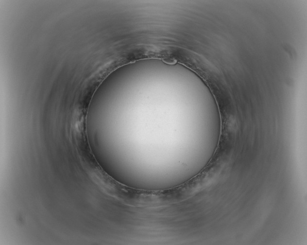 X0000113040914200909101915