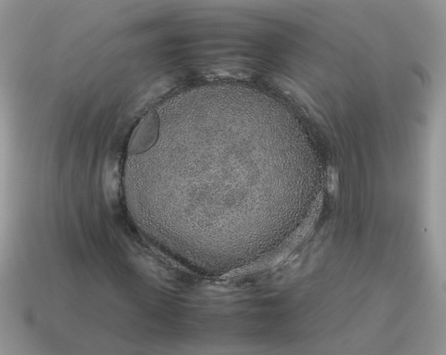 X0000113040915200909101915