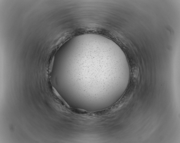 X0000113040916200909101915