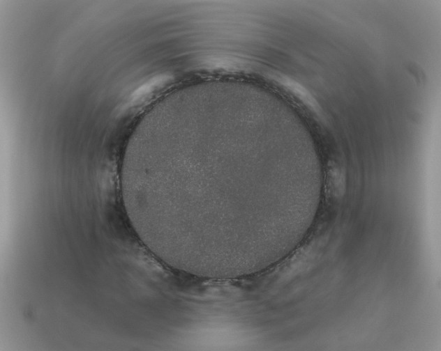 X0000113040918200909101915