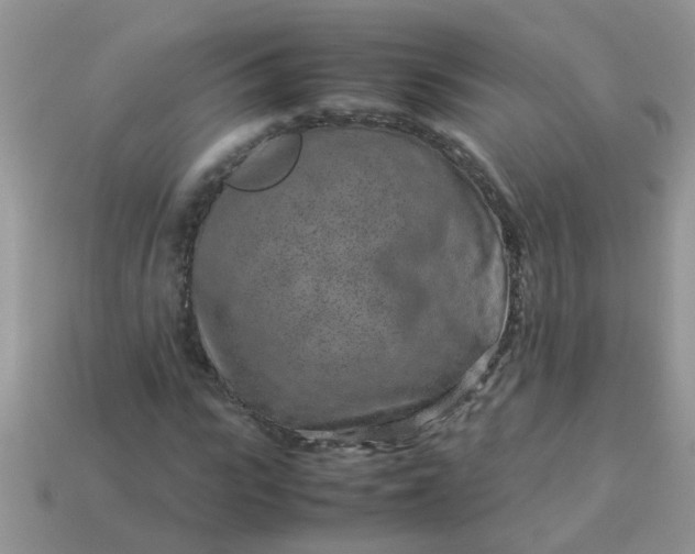 X0000113040919200909101915