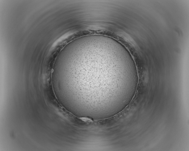 X0000113040920200909101915