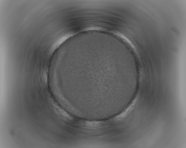 X0000113040921200909101915