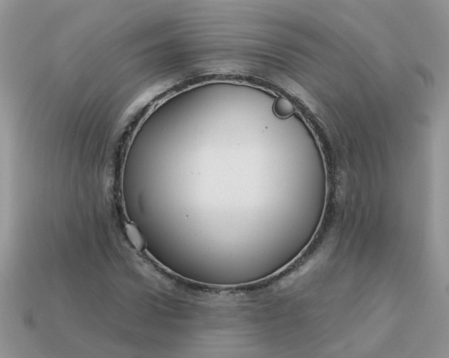 X0000113040922200909101915