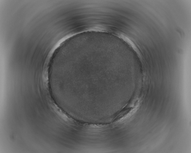 X0000113040923200909101915