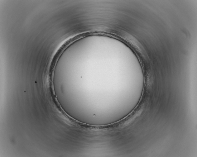 X0000113040924200909101915