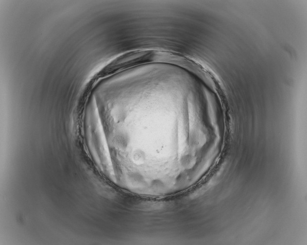 X0000113040925200909101915