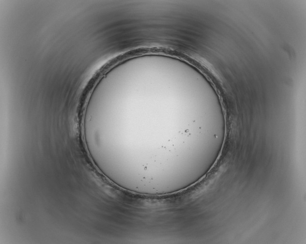 X0000113040927200909101915