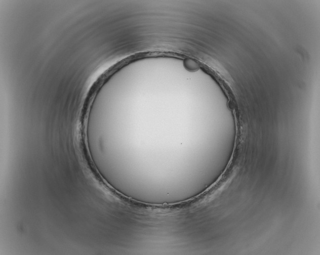X0000113040928200909101915