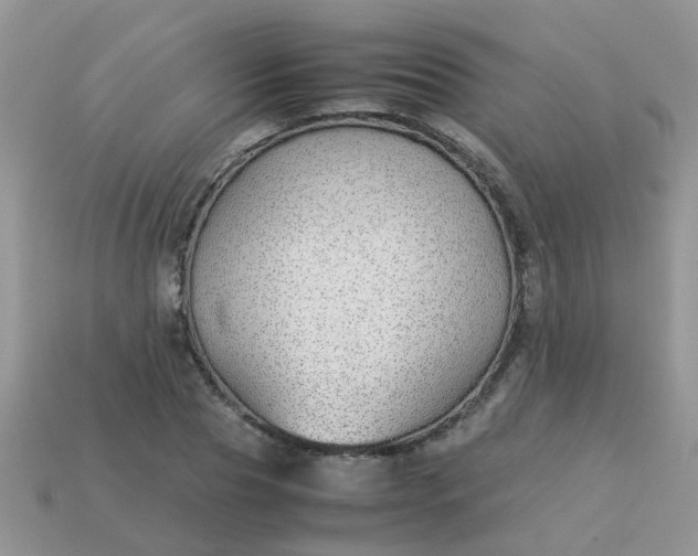 X0000113040929200909101915