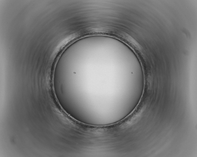X0000113040930200909101915