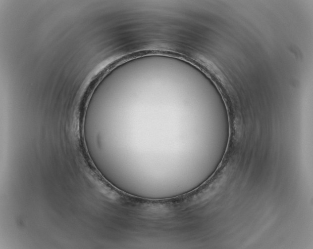 X0000113040931200909101915