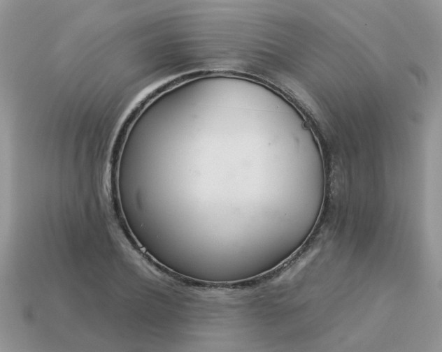 X0000113040932200909101915