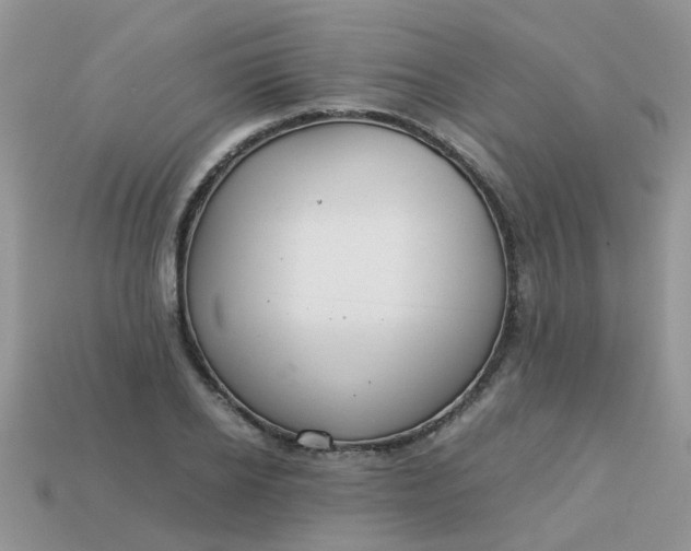 X0000113040934200909101915