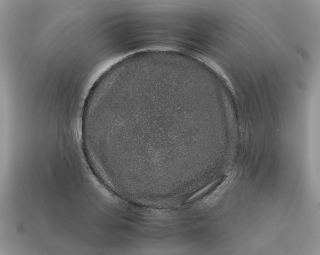 X0000113040935200909101915