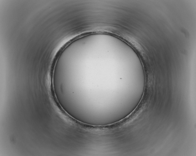 X0000113040936200909101915