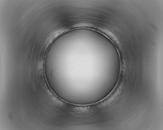 X0000113040937200909101915