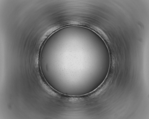 X0000113040938200909101915