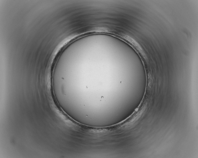 X0000113040939200909101915