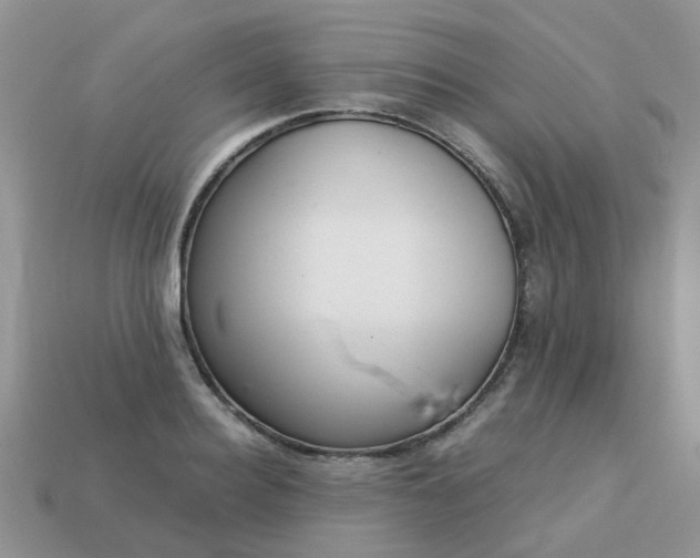 X0000113040940200909101915