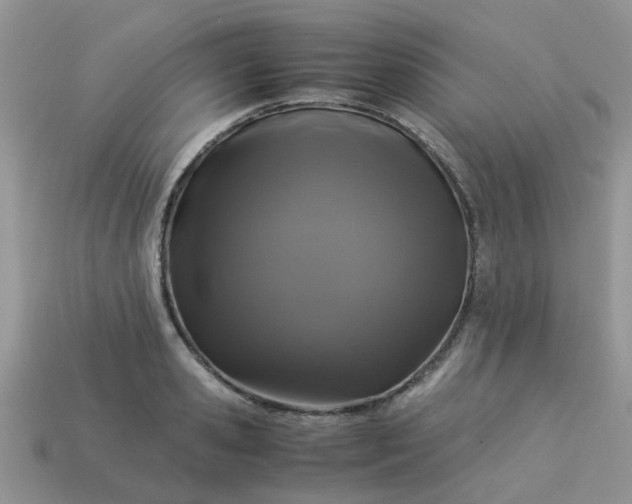 X0000113040941200909101915
